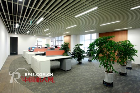 欧度圣火传遍蓉城  全力以赴迈向新征程——“启航·2013欧度控股总部大厦搬迁盛典”圆满成功