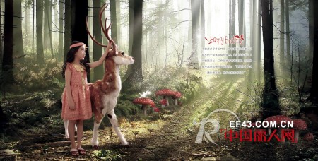 甲虫屋 - Beetle House