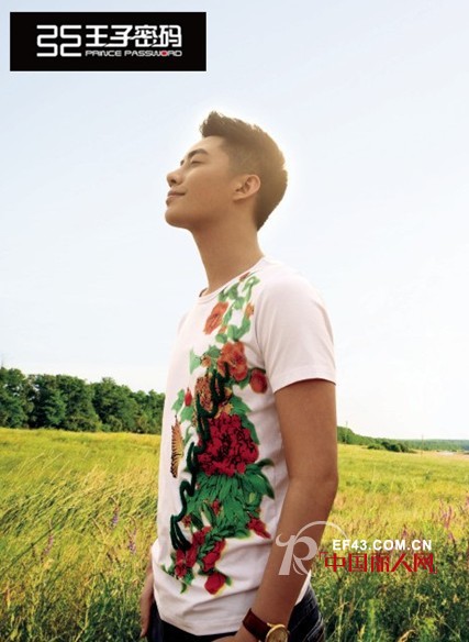 王子密码