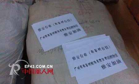 雅安!谷子屋童装用行动支持你,与你同在