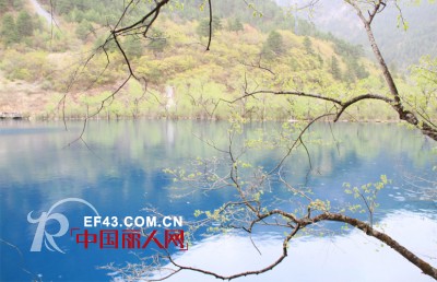 热烈祝贺凯诗芬四川成都站--全国招商会圆满落幕