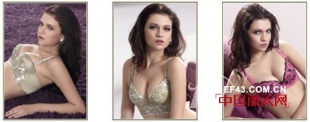 源自法国的内衣精品  携手farmnal 坐享财富