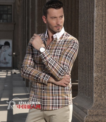 布鲁斯金熊 - PRUCE BEAR