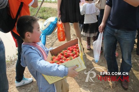 虹猫蓝兔童装 组织会员摘草莓活动