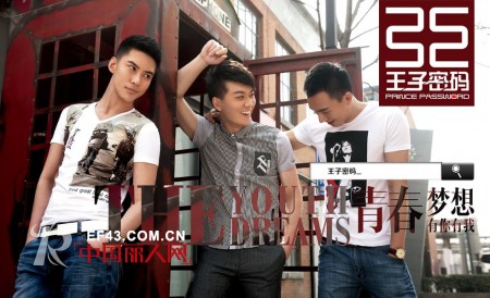 王子密码
