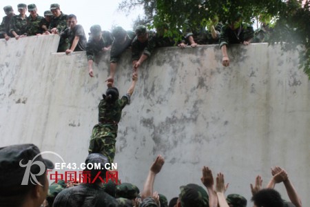 打造职业化,提升竞争力-浪漫春天户外拓展训练活动报道