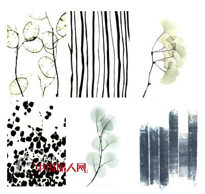 ZAIN女装2013最新夏季新品上市