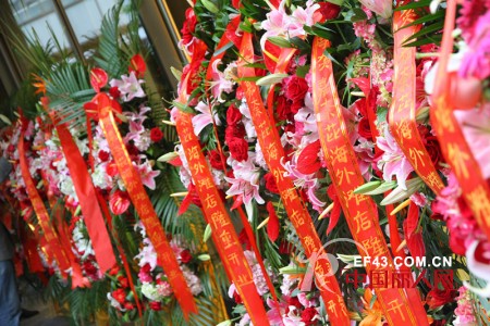 嘉奈芘 - the Carnaby