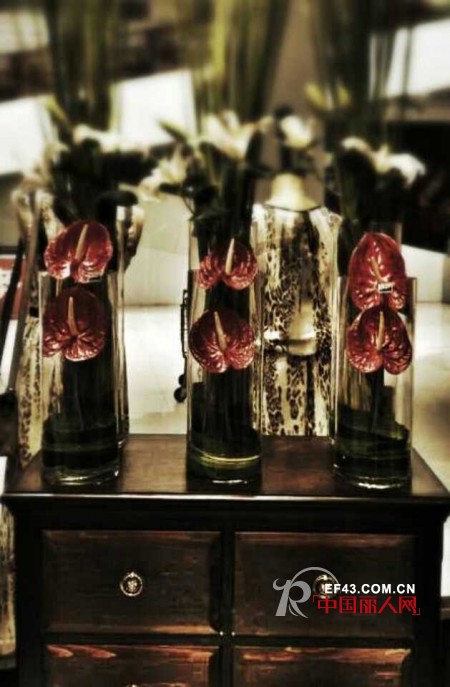 MAXIGO玛诗可女装进驻江苏吴江正翔商业广场