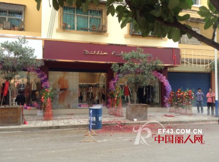 迪斯廷.凯-DistinKidny