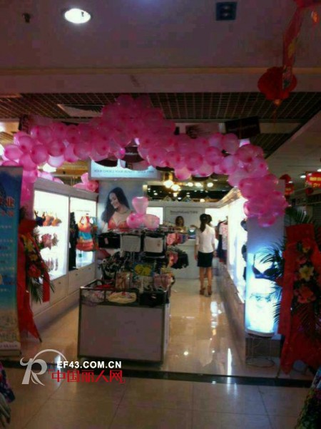 百丽挺-Beautifullady