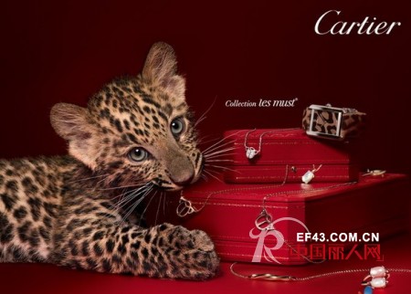 各行各业 中国前50最热奢侈品牌