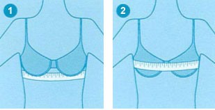 【日贝尔知识讲堂】文胸知多少 选对属于你的绝世好bra