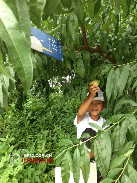 2013MO&Co服饰MO-art夏令营正式启程