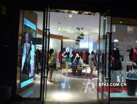 迪斯廷.凯-DistinKidny