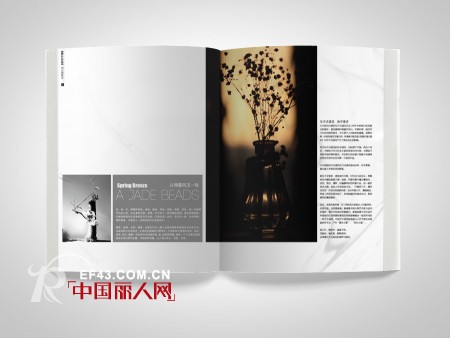 BBLLUUEE内刊《布鲁视觉》即将发行