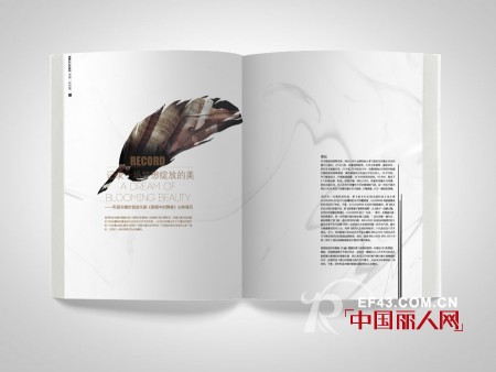 BBLLUUEE内刊《布鲁视觉》即将发行