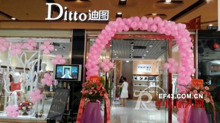 迪图-DITTO