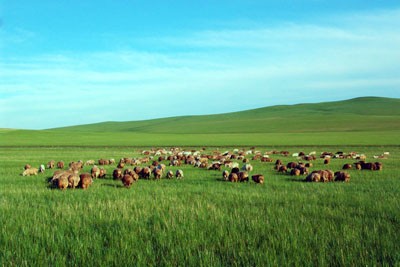 卡琪屋“传承 超越 修心”文化之旅------ 暨卡琪屋2012年度“精英100”获奖加盟商旅游