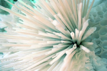 什么叫服装视觉营销 那些令人震撼的作品赏析