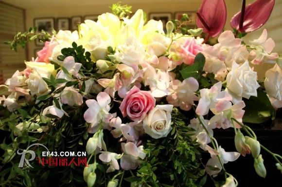 OMNIALUO 2014春夏新品发布会圆满成功