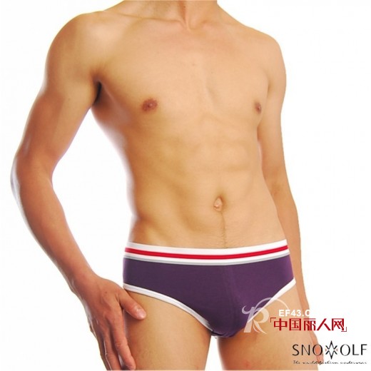 雪飞狼内衣:诠释经典与时尚之美