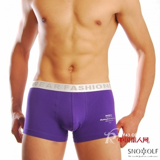 雪飞狼内衣:诠释经典与时尚之美