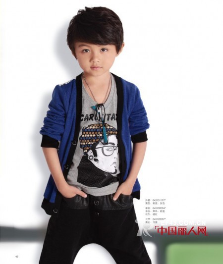 卡儿菲特-carlfit