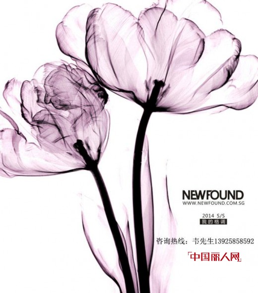 纽方-NEWFOUND