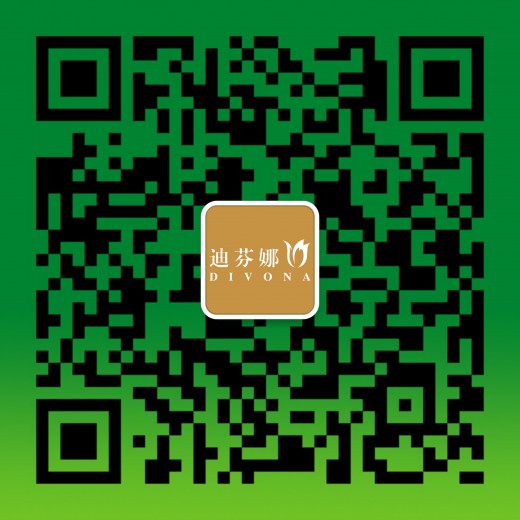 迪芬娜集团赞助国际城市旅游小姐大赛