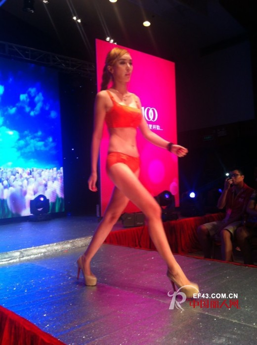 女人100内衣2013招商会圆满落幕