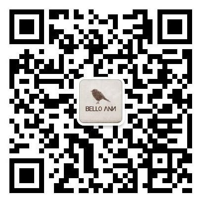 BELLO ANN Style•陕西咸阳店/哈尔滨凯德购物中心店隆重开业