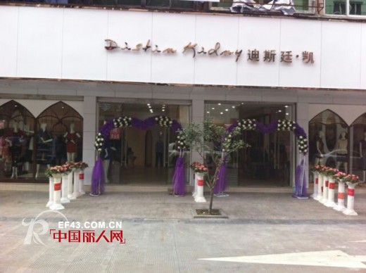 迪斯廷.凯-DistinKidny