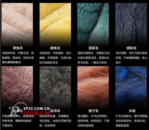 皮草掉毛怎么办
