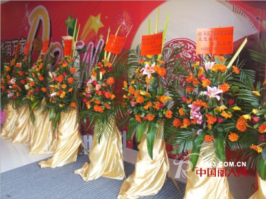 元旦喜迎开业 虹猫蓝兔童装成功进驻佛山岭南大道北华润万家店