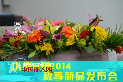 小熊B琪 - BEAR BEST