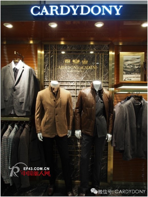 凯迪东尼 - CARDYDONY