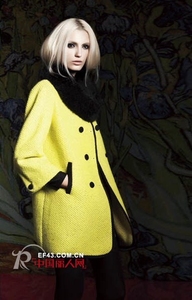 迪斯廷.凯-DistinKidny