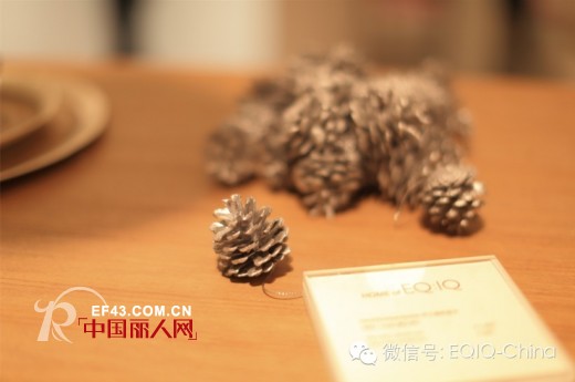 杭城名媛,演绎2014EQ:IQ