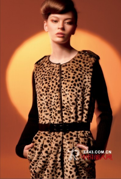 迪斯廷.凯-DistinKidny