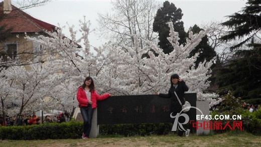 第二届雪仙丽中国家居服文化创意设计大赛入围选手采访实录