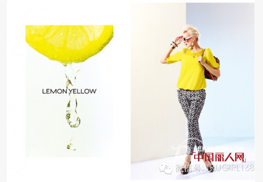 时尚,简约,大气女人味——楚薇薇