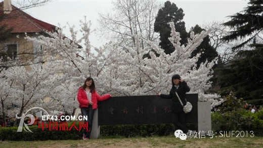 第二届雪仙丽中国家居服文化创意设计大赛入围选手采访实录（一）