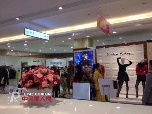 迪斯廷.凯-DistinKidny