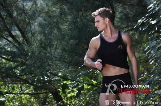 雪飞狼品牌男士内衣 塑造属于你的男神形象