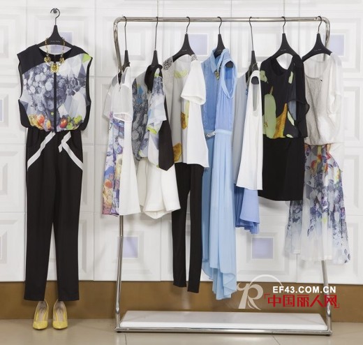 迪斯廷.凯-DistinKidny