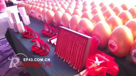 “梦想中国,全民爱戴”战略峰会（山东站）暨爱戴内衣 2014年新品发布盛会圆满召开