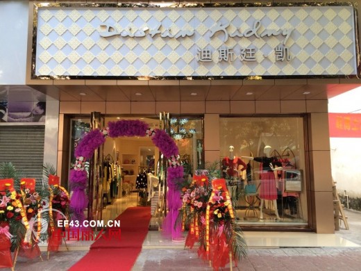 迪斯廷.凯-DistinKidny