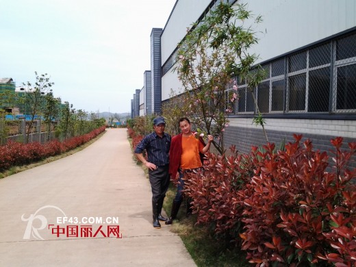 叮当猫工业园-湖南常宁春色满园生机盎然