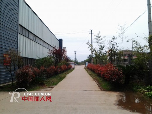 叮当猫工业园-湖南常宁春色满园生机盎然